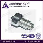 New type screw_in tire studs